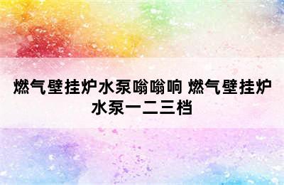 燃气壁挂炉水泵嗡嗡响 燃气壁挂炉水泵一二三档